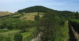 Eichelspitze gesehen aus Richtung Vogelsang-Pass