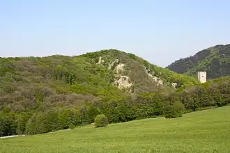 Westseite des Eichkogels