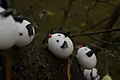 Eier-Maus
