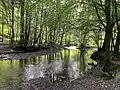 Eifgenbach mit geringer Fließdynamik