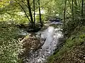 Eifgenbach am südl. Ende des NSG