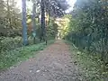 Haupteingang zum Wald (2012)
