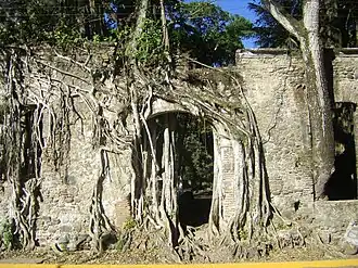 Der von Baumwurzeln überwucherte Eingang zur Casa de Cortés