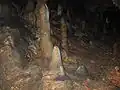 Stalagmiten im Zwergenreich (September 2007)