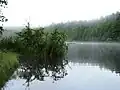 Alter Weiher