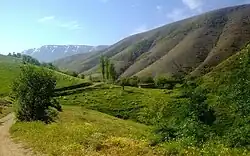 Luftbild