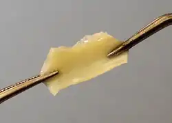 Elastin