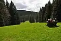 Zwischen Emmastein und Manebach, Blick auf den Bundschildskopf