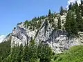 Felswand bei der Elsigenalp
