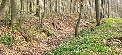 Äußerer frühgeschichtlicher Ringwall der Elmsburg