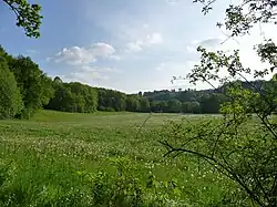 Elstertal bei Weischlitz