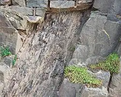 Gesteinsformation Quarzit gegen Tonschiefer im Elzhofberg