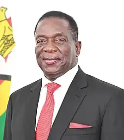 offizielles Portrait von Präsident Emmerson Mnangagwa