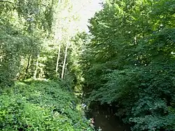 Die Ems nach knapp 6&nbsp;km bei Espeln