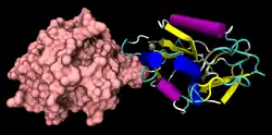 Endostatin