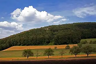 Engelberg in Starrkirch-Wil