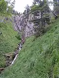 Namenloser Zufluss zum Engelsbach von Südflanke Laubbergel