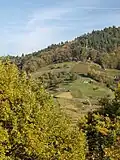 Engelsfelsen in Bühlertal (Baden/Ortenau)