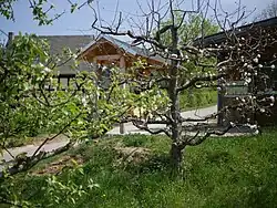 Ganzer Baum