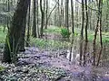 Idylle im Ennert