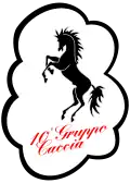10º Gruppo “Le Picchie”
