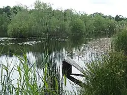 Kleiner Teich