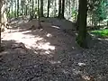 (Vermutlicher) Burghügel von Straßwitraun
