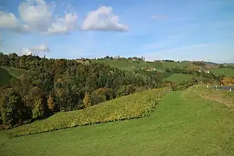 Eorykogel von Süden (Langeggstraße)