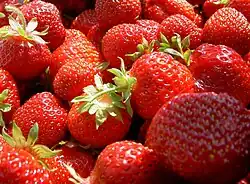 Erdbeeren in Sammelgefäß