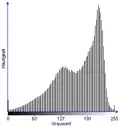 Histogramm