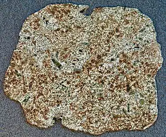 Fragment von Erg Chech 002 (47 Gramm)