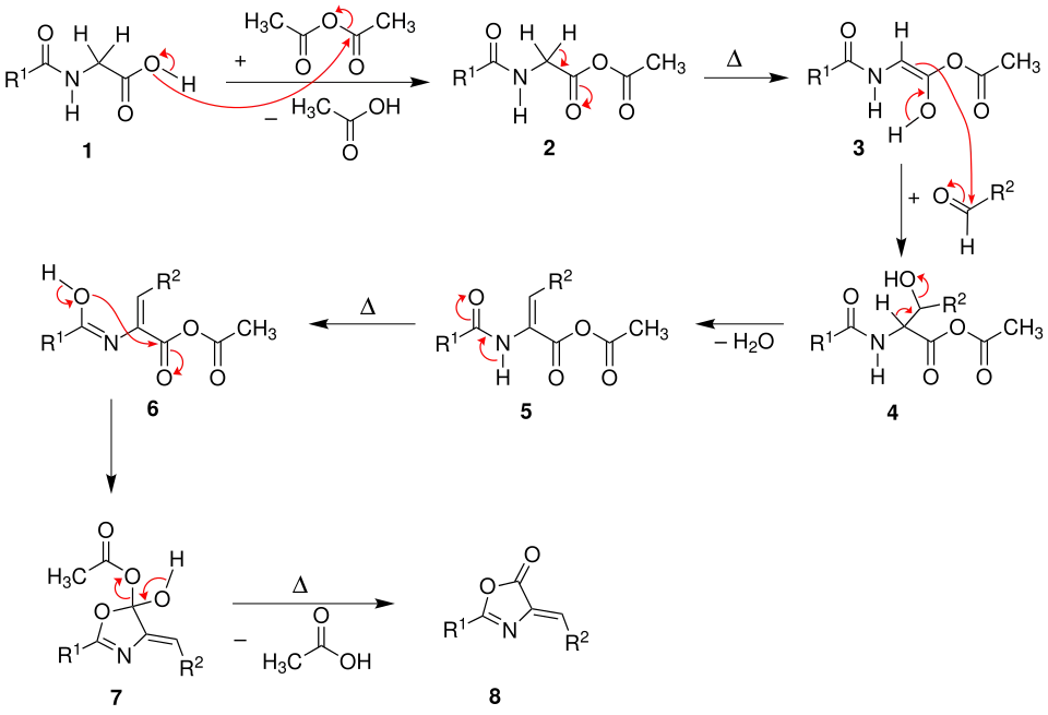 Mechanismus der Erlenmeyer-Reaktion