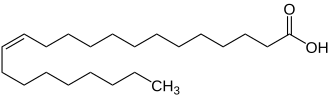 Struktur der Erucasäure