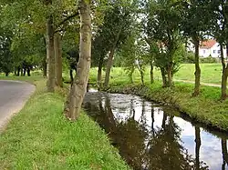 Künstliche Führung in Nieder-Eschbach