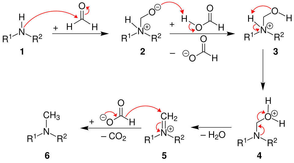 Mechanismus der Eschweiler-Clarke-Methylierung