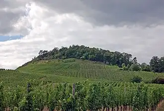 Eselsberg über Ensingen