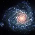 Arp 41 (NGC 1232)