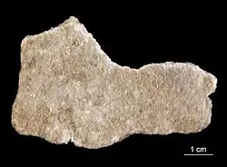 Dies Farbfoto zeigt das Gestein Itakolumit, es handelt sich um eine besondere, seltene Varietät des Quarzits und wurde 2015 in einem Museum aufgenommen.