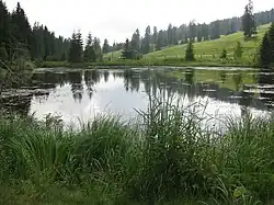 Teich von Rathvel