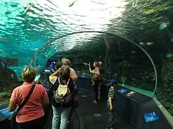 Unterwassertunnel