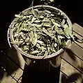 Laubblätter von Eucalyptus olida, vorbereitet für die Destillation