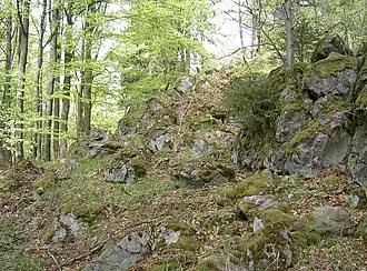 Eulenberg Gipfel