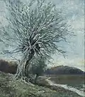 Darßlandschaft mit Kopfweiden