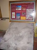 Kopie von „Evas Fußabdrücke“ im Geelbek Visitor Centre