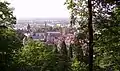 Exotenwald in Weinheim