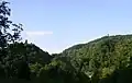Exotenwald in Weinheim