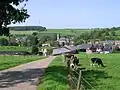 Mergelland bei Eys
