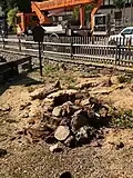 Ehemaliger Standort der Hammerlinde