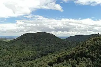 Der Föhrlenberg