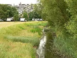 Renaturierter Uferbereich der Fösse in den hannoverschen Stadtteilen Davenstedt und Badenstedt